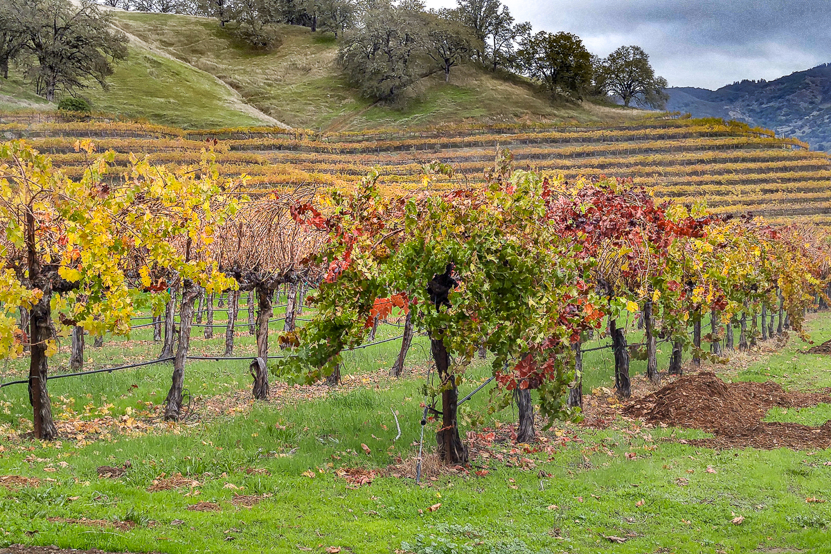 8 paradas perfectas en la hermosa región vinícola del condado de Mendocino - 479
