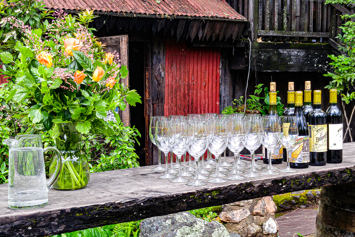 8 paradas perfectas en la hermosa región vinícola del condado de Mendocino - 7