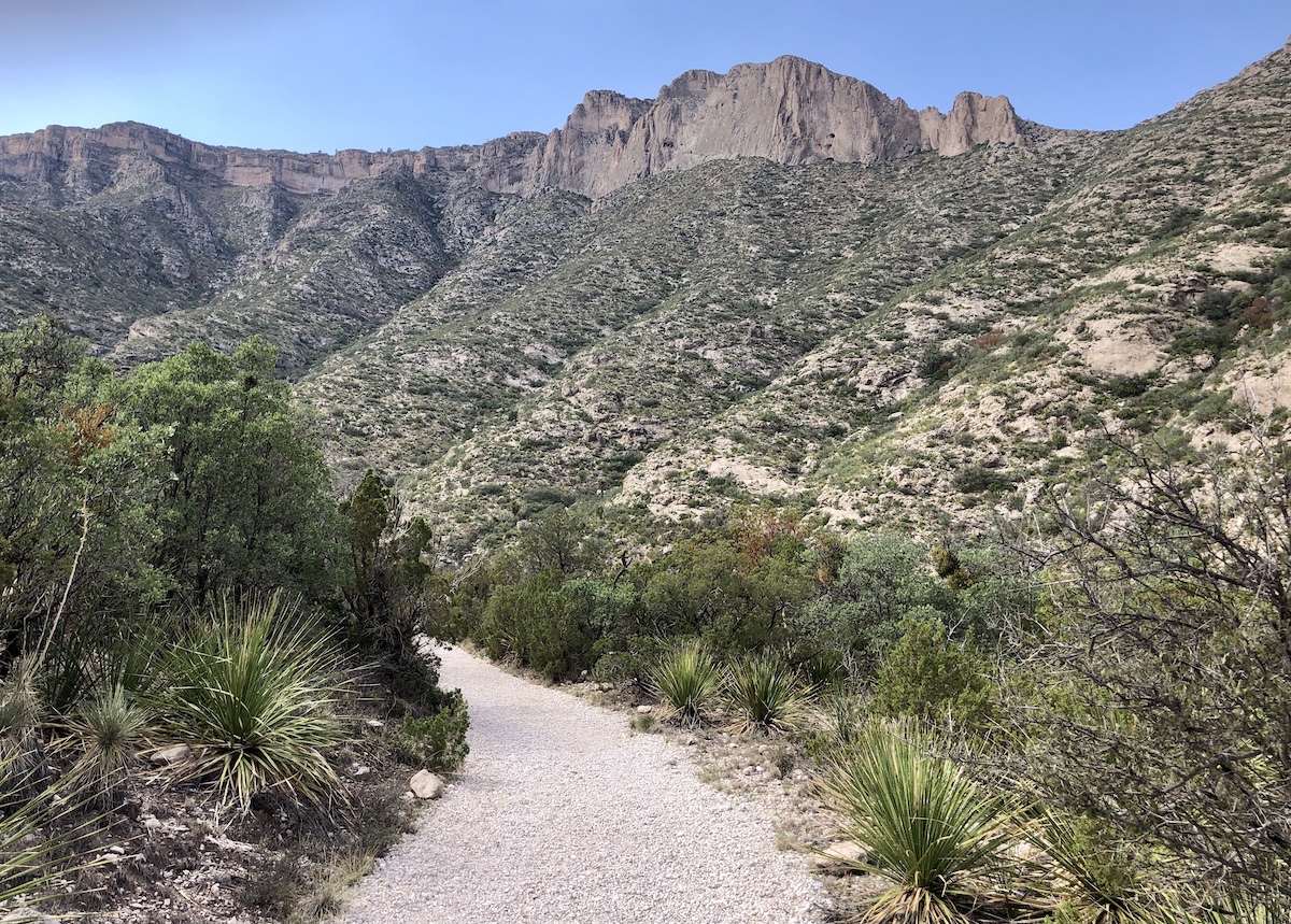8 mejores caminatas en el Parque Nacional de las Montañas Guadalupe - 15