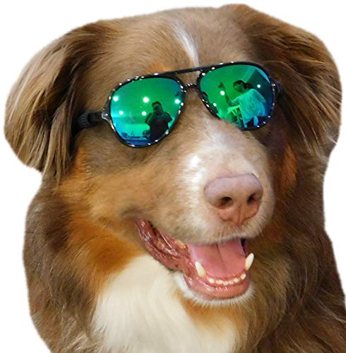 La mejor revisión de gafas de sol de perro 2022 - 13