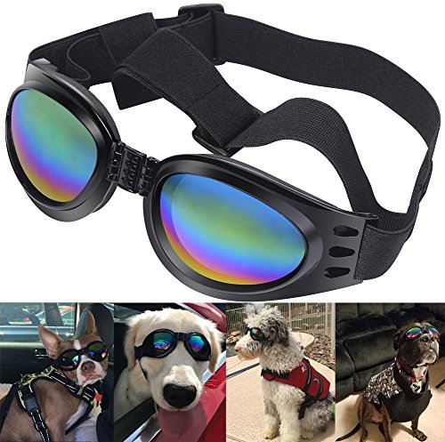 La mejor revisión de gafas de sol de perro 2022 - 619