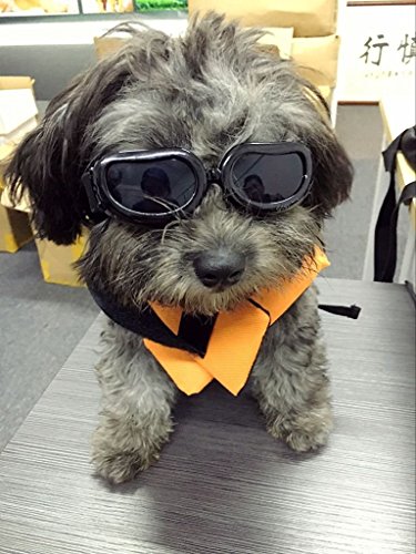 La mejor revisión de gafas de sol de perro 2022 - 9