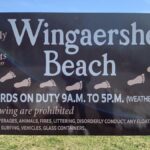 Cómo pasar una escapada llena de sol en la playa de Wingaersheek de Gloucester