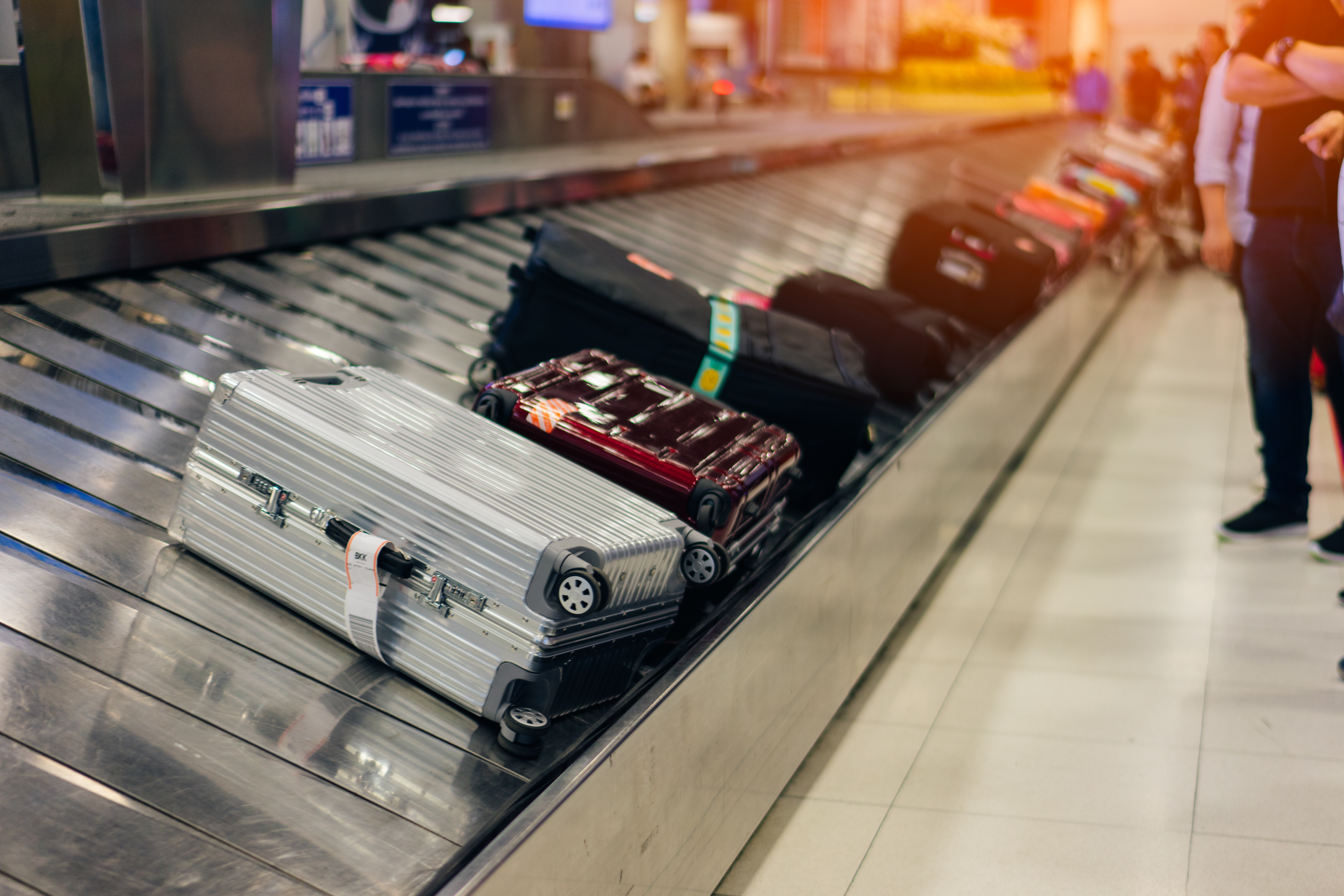Viaje más inteligente, envíe su equipaje con Shipgo | Esta web - 7