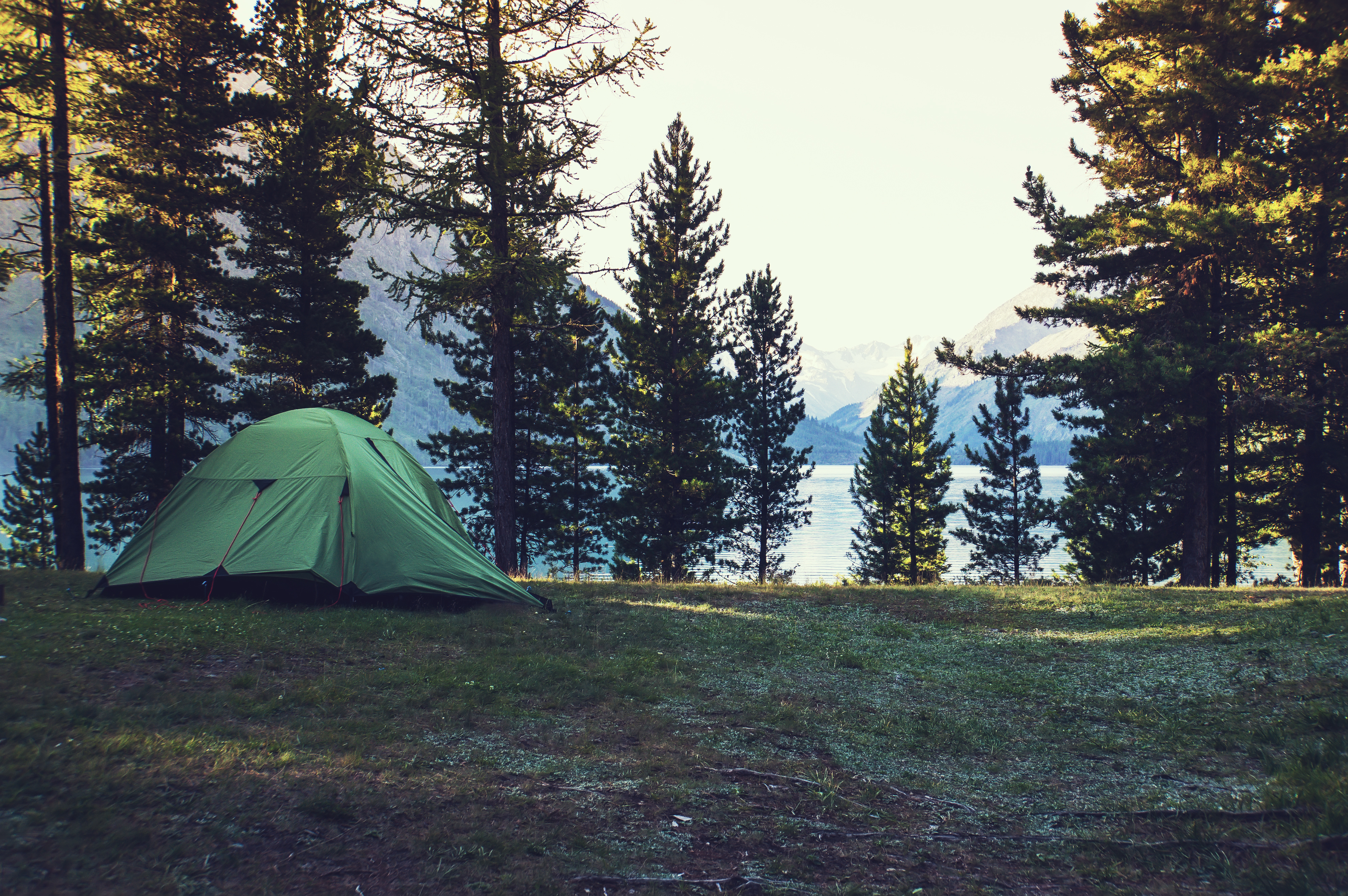 ¿Es seguro acampar? 10 consejos esenciales de seguridad para acampar - 597
