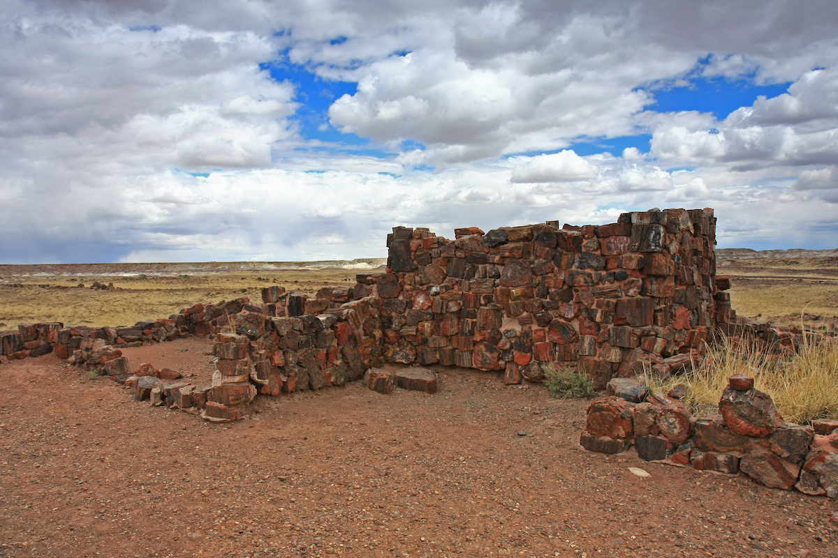 4 sitios arqueológicos increíbles en el Parque Nacional Petrificada - 7