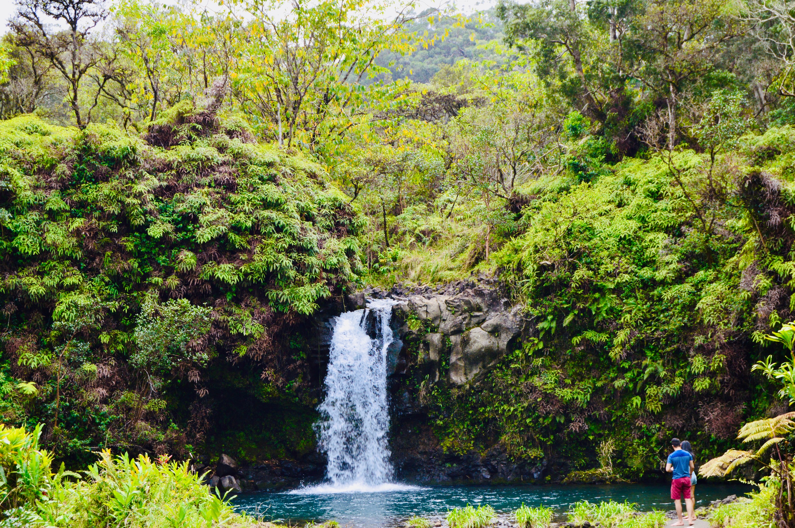 Mis 20 cascadas favoritas para visitar en Hawaii - 9