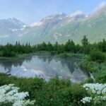 Anchorage o Juneau: ¿Qué es mejor visitar?