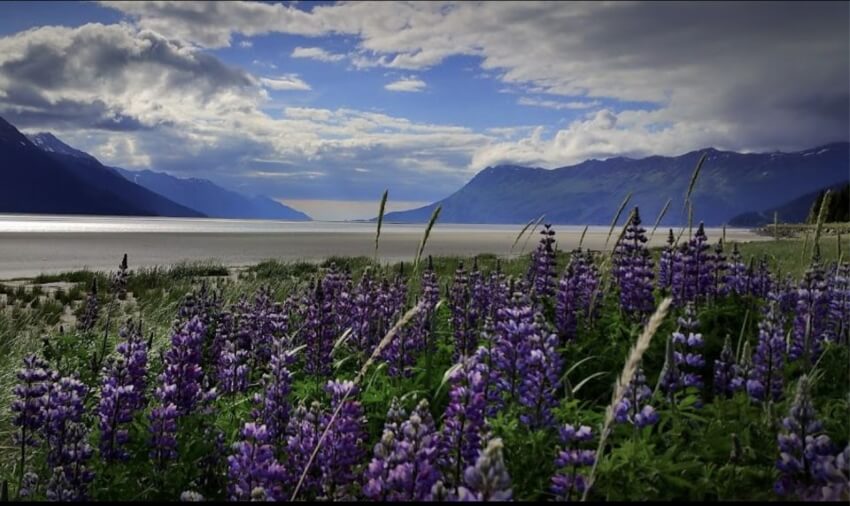 Anchorage o Juneau: ¿Qué es mejor visitar? - 23