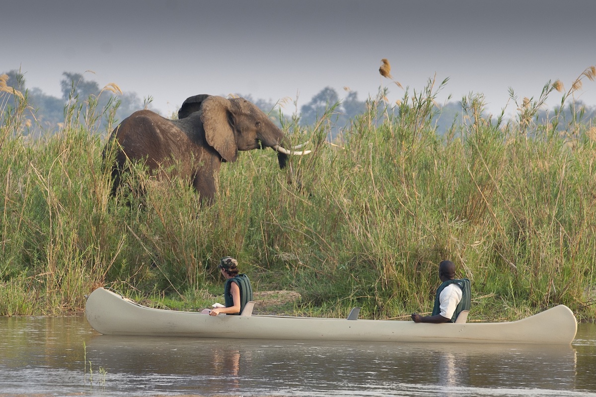 Las mejores cosas para hacer a lo largo del río Zambezi - 17