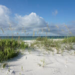 9 razones por las que te encantará la costa nacional de las Islas del Golfo de Florida
