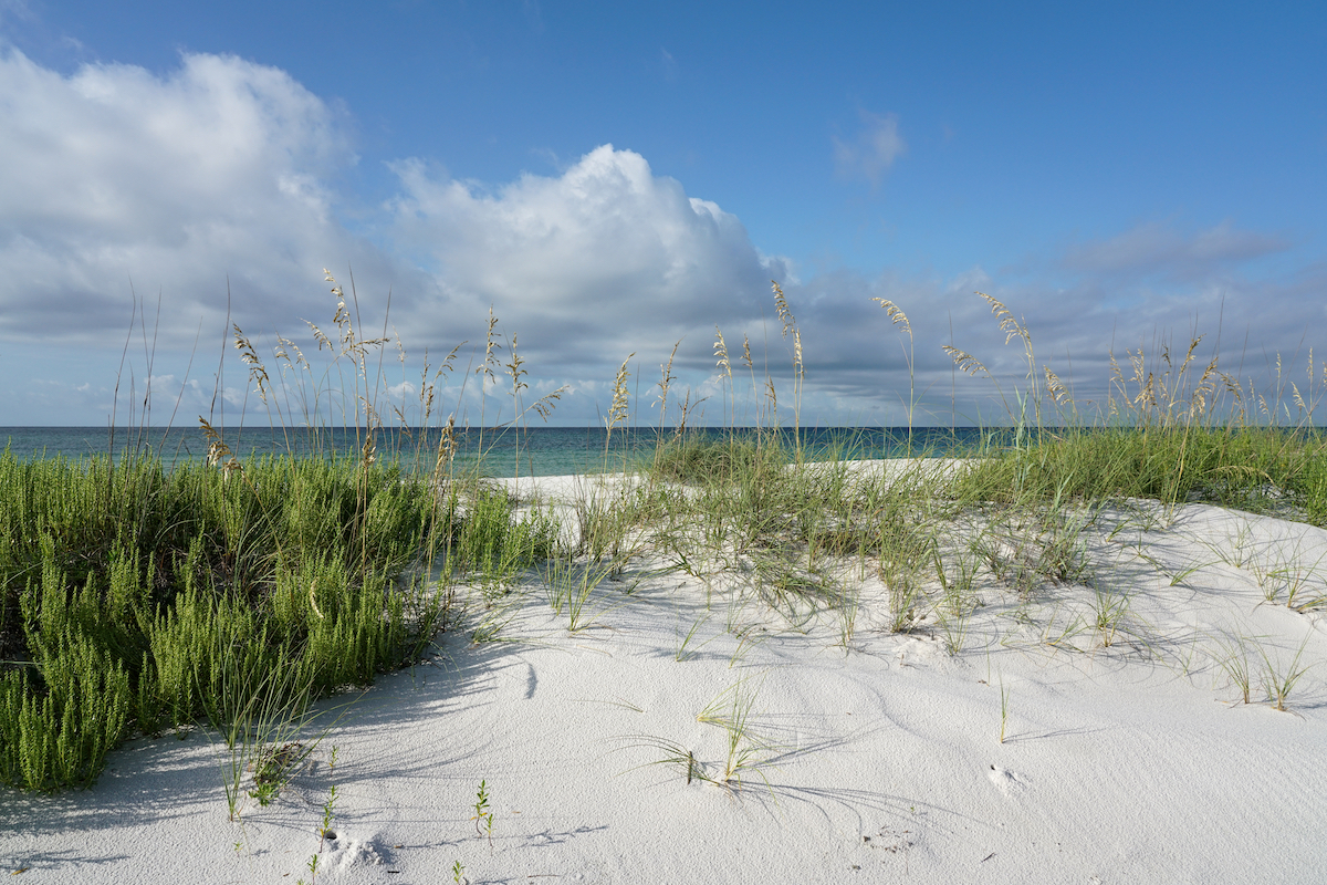 9 razones por las que te encantará la costa nacional de las Islas del Golfo de Florida - 3