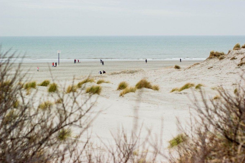 20 mejores playas de los Países Bajos para visitar - 23