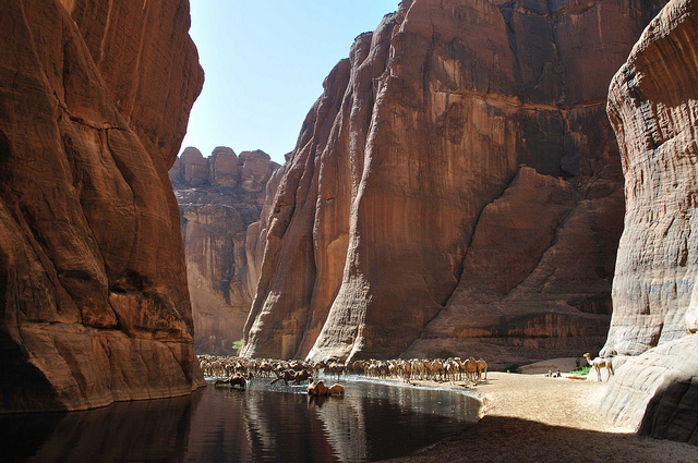 Guelta d’Archei: La joya escondida del Sahara - 7