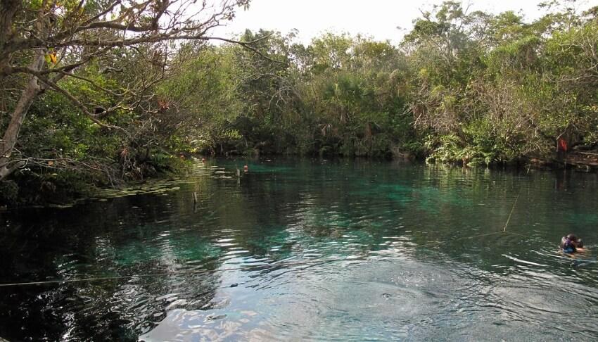 Bucear los cenotes del Yucatán - 23