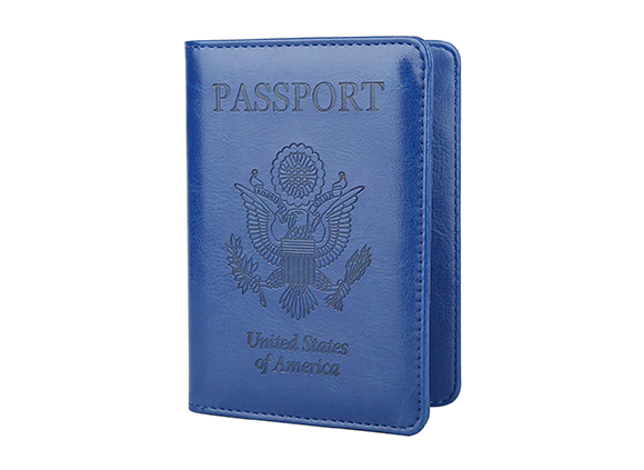 Requisitos de pasaporte de Santa Lucía - 7