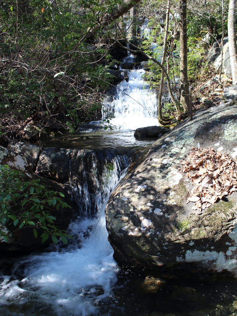 5 mejores rutas de senderismo con cascadas en el bosque nacional de Talladega - 11