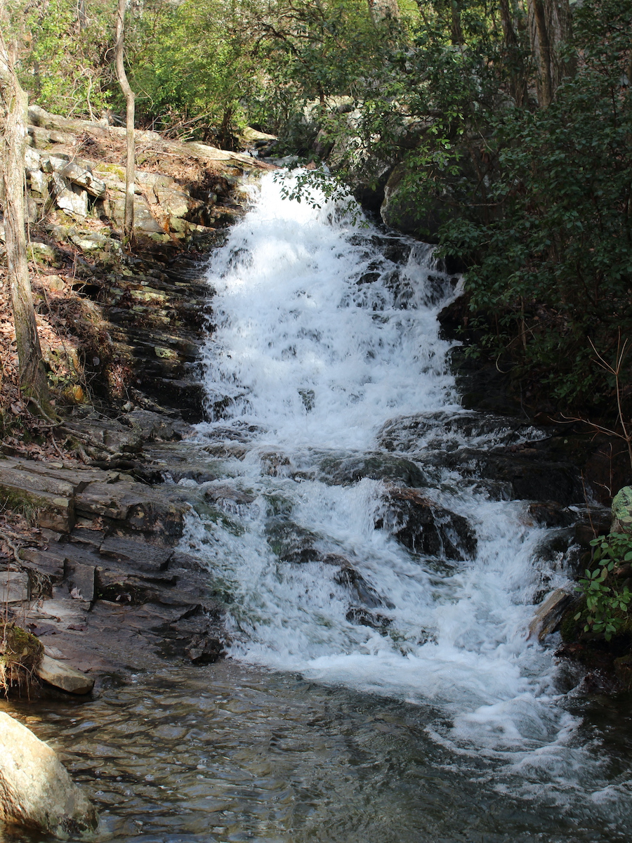 5 mejores rutas de senderismo con cascadas en el bosque nacional de Talladega - 13