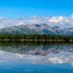 17 mejores cosas que hacer en el Parque Nacional Denali y preservar