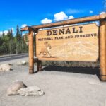 Itinerario del Parque Nacional Denali: Cómo pasar 5 días en Denali
