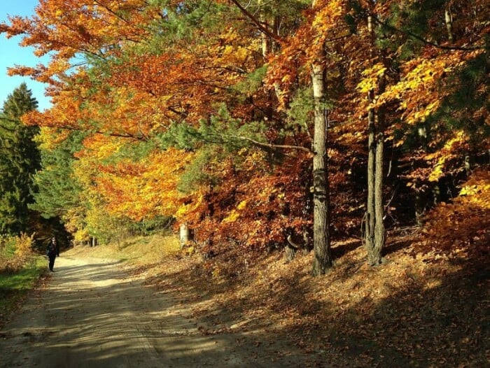 9 razones para ver los colores de otoño de Duluth en Minnesota - 11