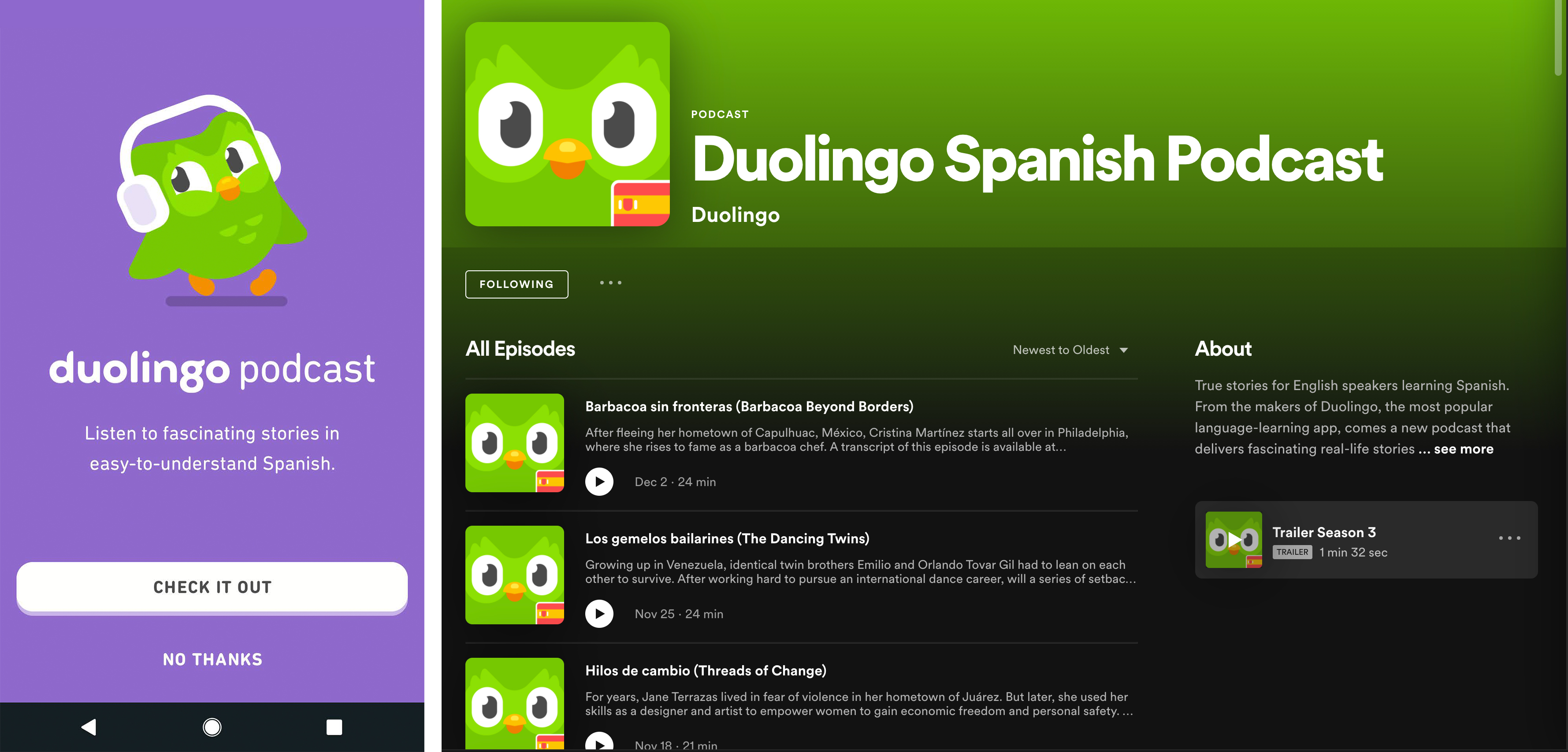 ¿Puedes ser fluido en un idioma con Duolingo? - 9