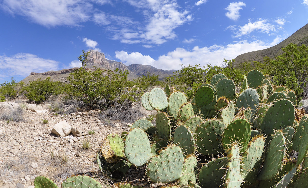 12 mejores cosas que hacer en el Parque Nacional de las Montañas Guadalupe - 1