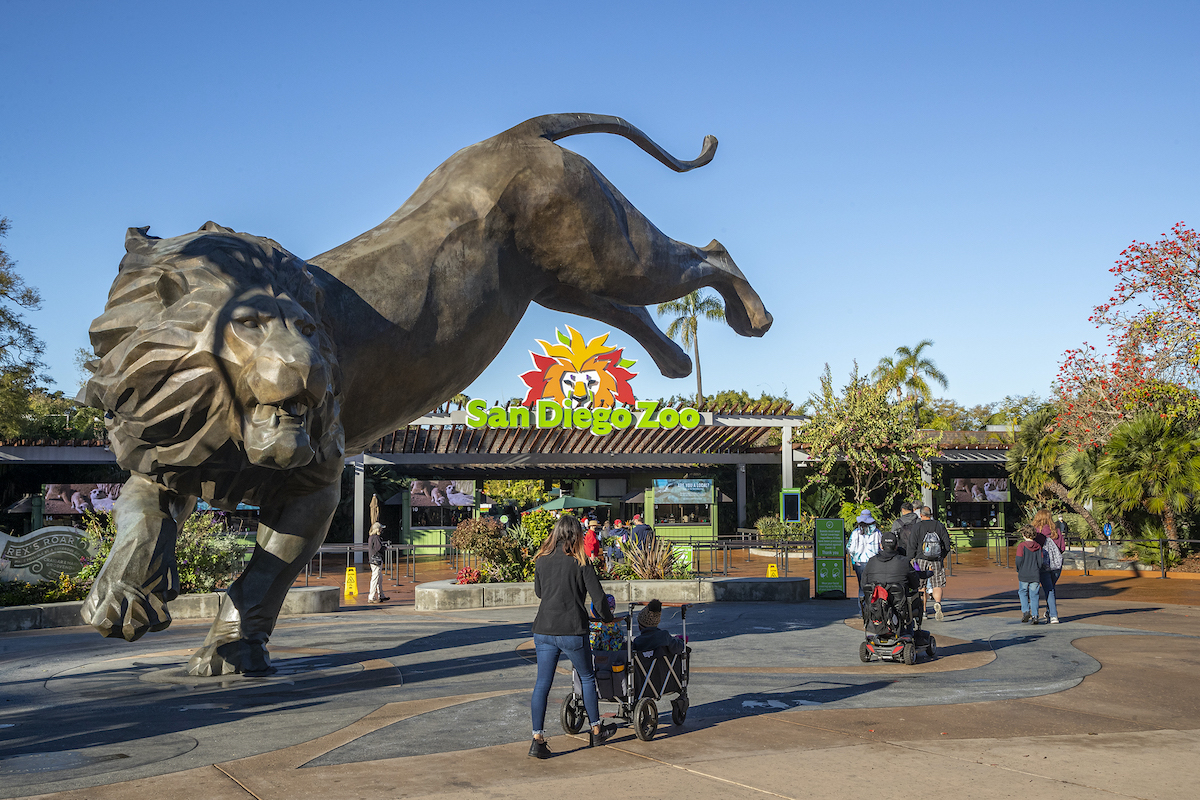 16 consejos esenciales para su primera visita al zoológico de San Diego - 11