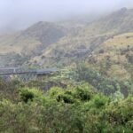 El impresionante viaje de tren que debe experimentar en Nueva Zelanda