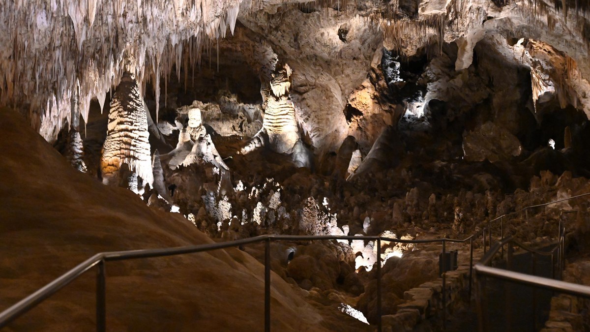 Las mejores cosas que hacer en el Parque Nacional Carlsbad Caverns - 15