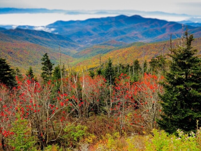 13 mejores parques nacionales para visitar en noviembre - 15