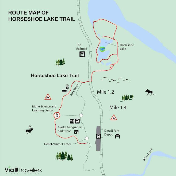 Horseshoe Lake Trail Tour | Parque Nacional Denali - 7