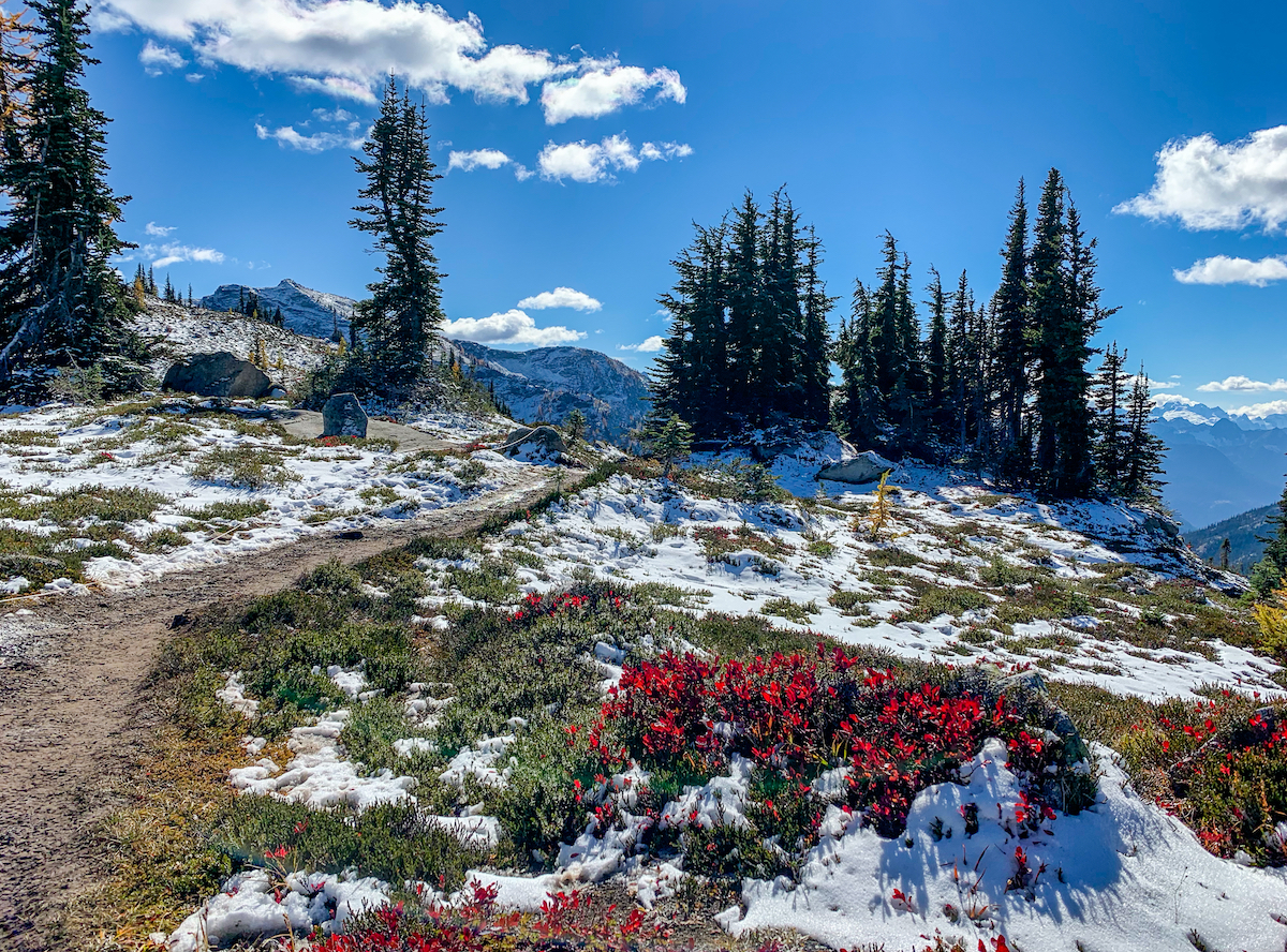 5 hermosas caminatas en el Parque Nacional North Cascades - 9