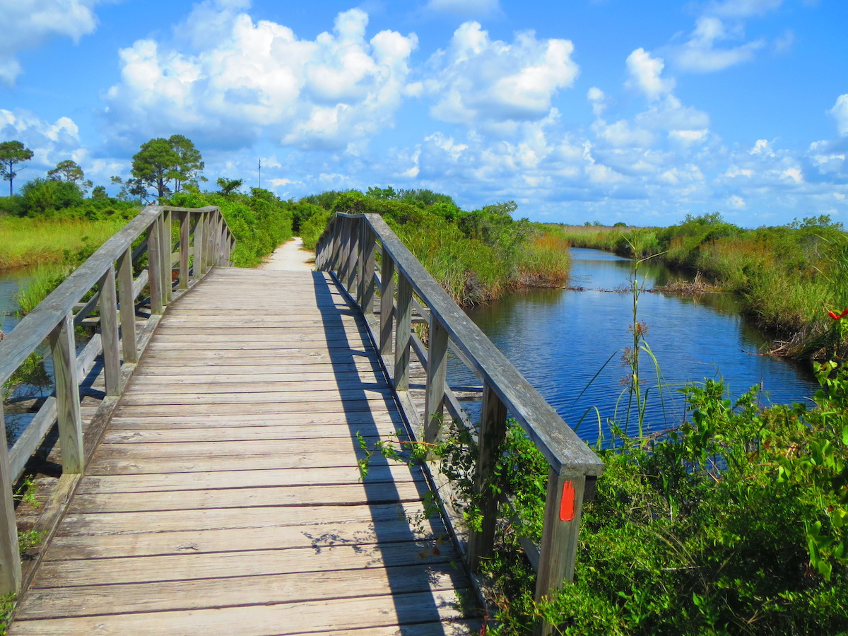 9 razones por las que te encantará la costa nacional de las Islas del Golfo de Florida - 9