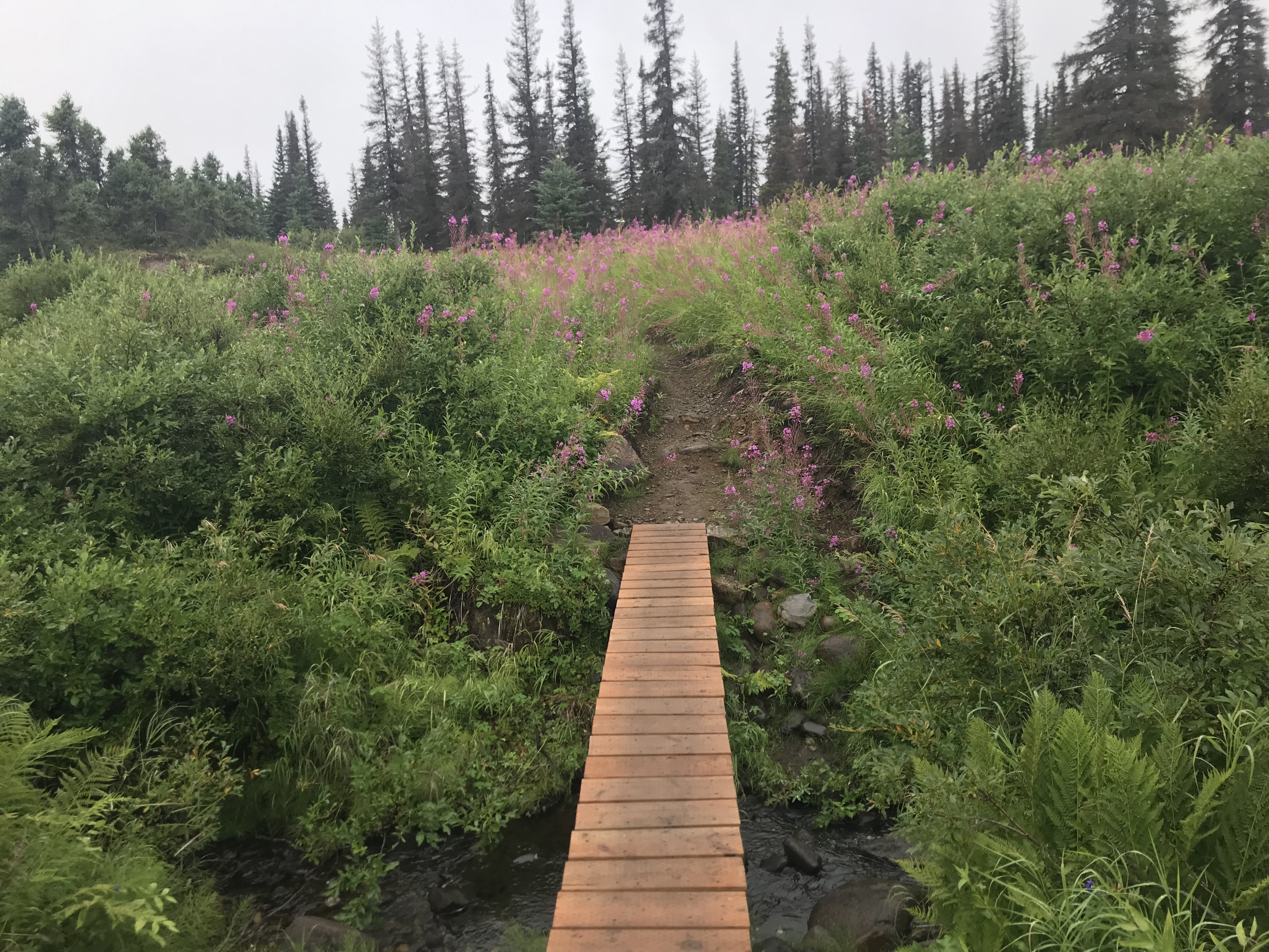 Cómo hacer una semana en Alaska en el verano | Esta web - 15