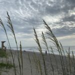 7 mejores playas para visitar en Wilmington