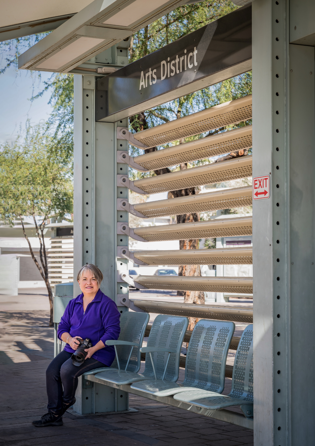 Valley Metro Light Rail: The Phoenix Train Trip perfecto para amantes del arte - 7