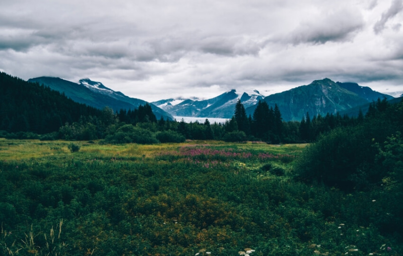 Anchorage o Juneau: ¿Qué es mejor visitar? - 9