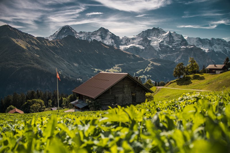 13 mejores montañas de Suiza - 395