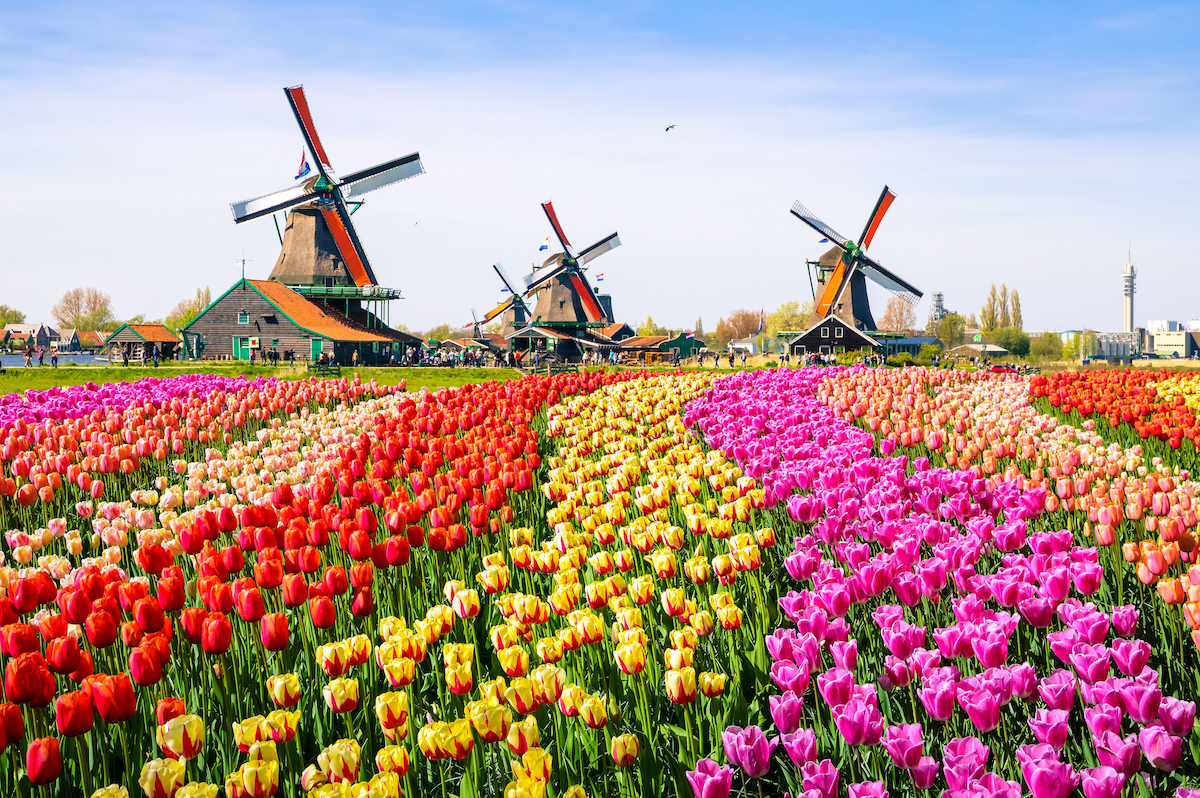 9 razones por las que los jubilados aman a los Países Bajos - 15