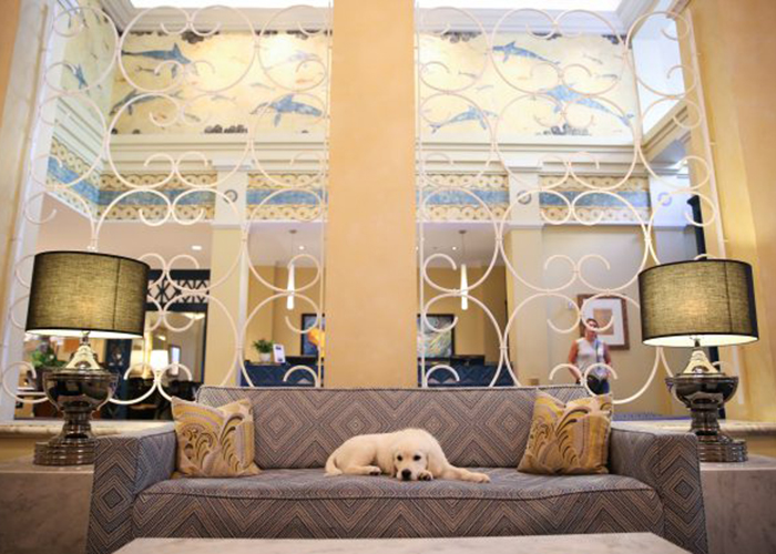 11 hoteles amigables con las mascotas a tu perro (y a ti) te encantará
