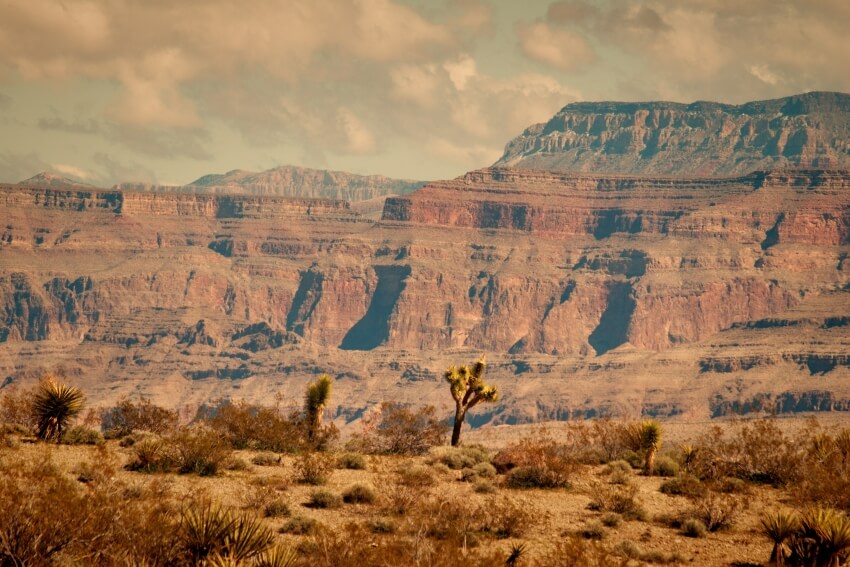 29 mejores cosas que hacer en Arizona y lugares para visitar - 35