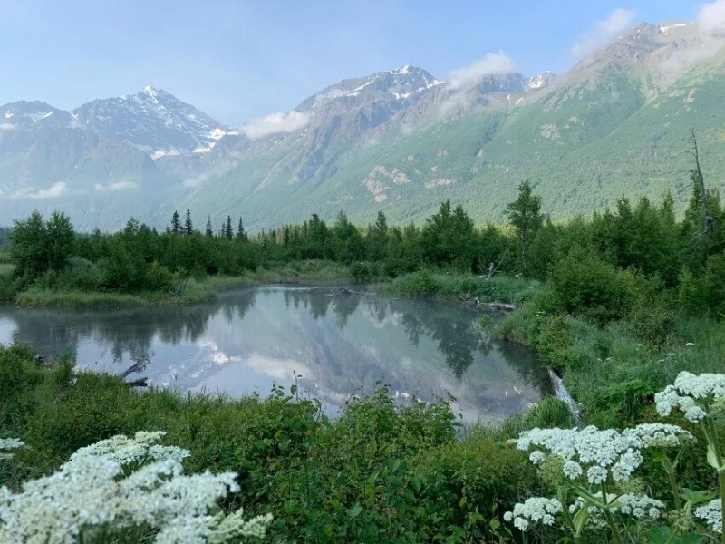 47 mejores cosas que hacer en Anchorage, Alaska - 1