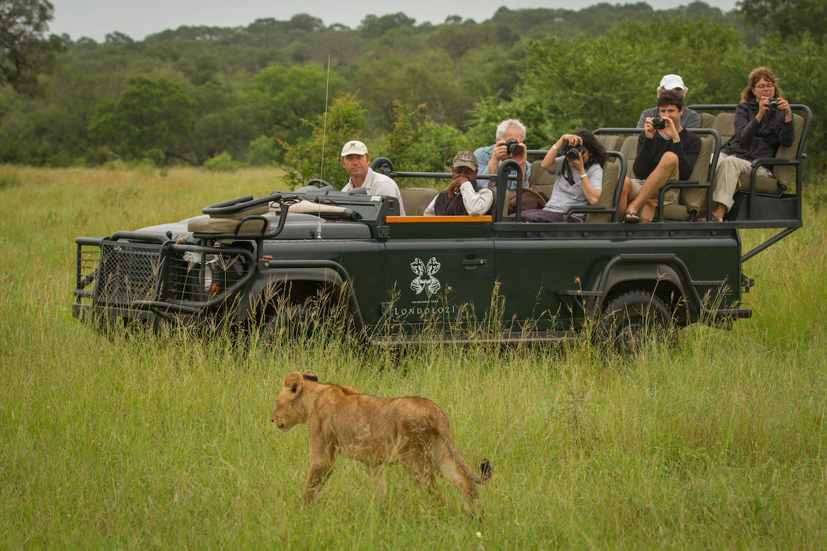 12 lujosas alojamientos de safari para experimentar en África - 17