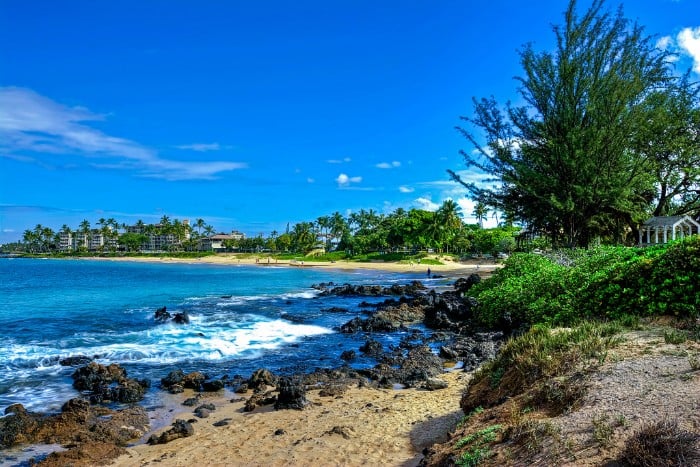 ¿Necesitas un coche en Maui? 5 cosas que saber - 139