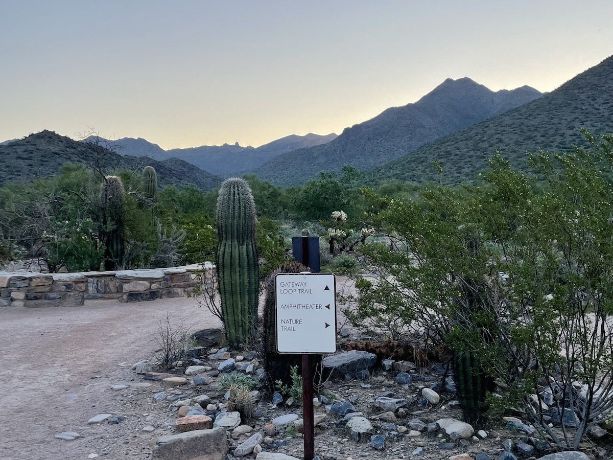 8 mejores experiencias en Phoenix para los amantes de la naturaleza, sin senderismo extenuante - 11