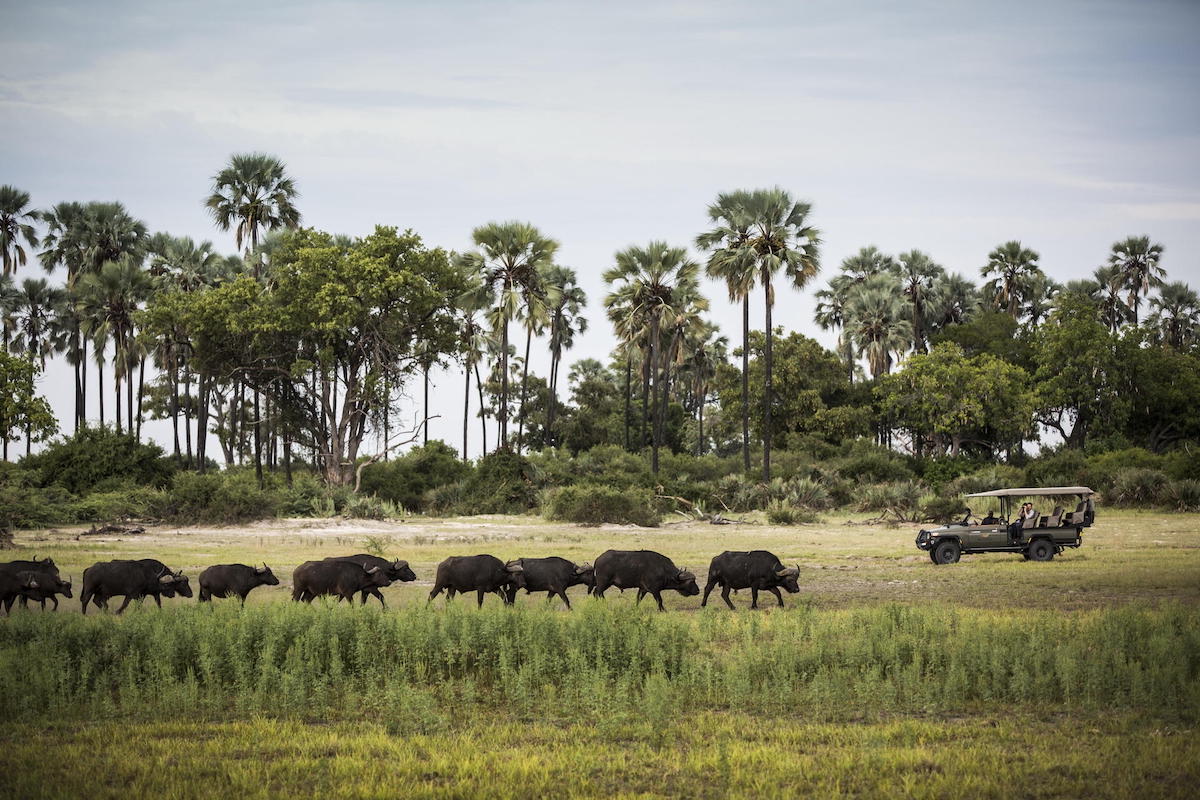 12 lujosas alojamientos de safari para experimentar en África - 173