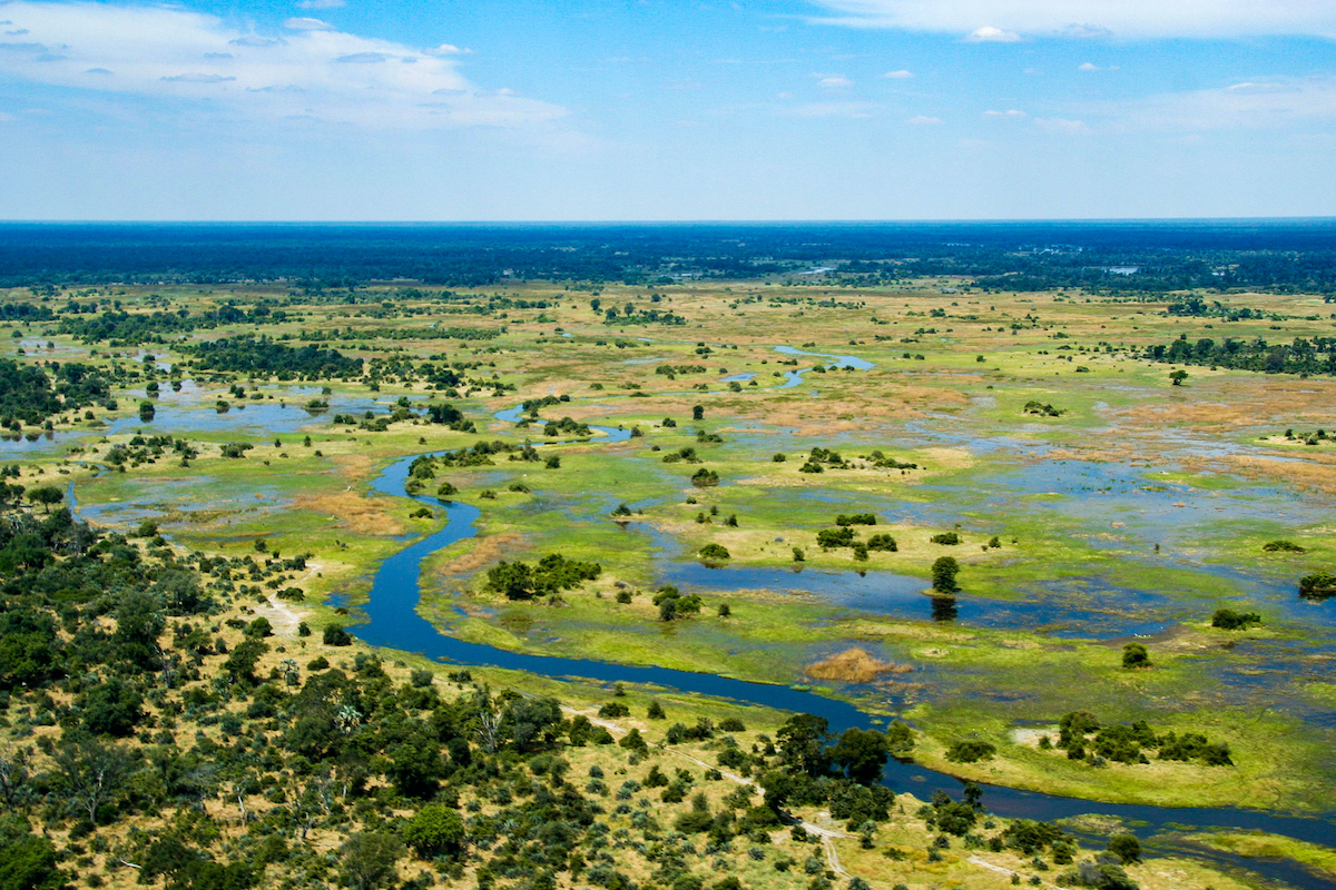 8 mejores cosas que hacer en Botswana - 7