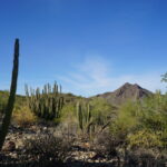 8 monumentos nacionales no pueden perder en Arizona