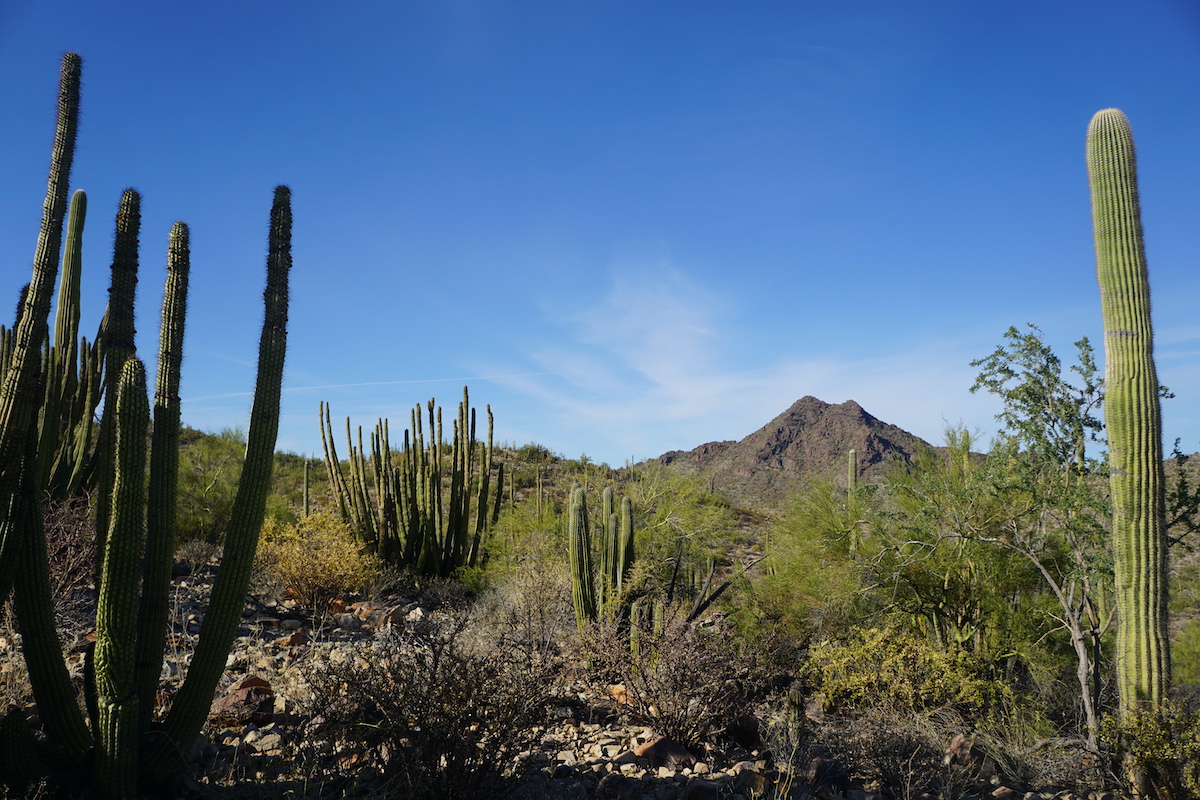 8 monumentos nacionales no pueden perder en Arizona - 677